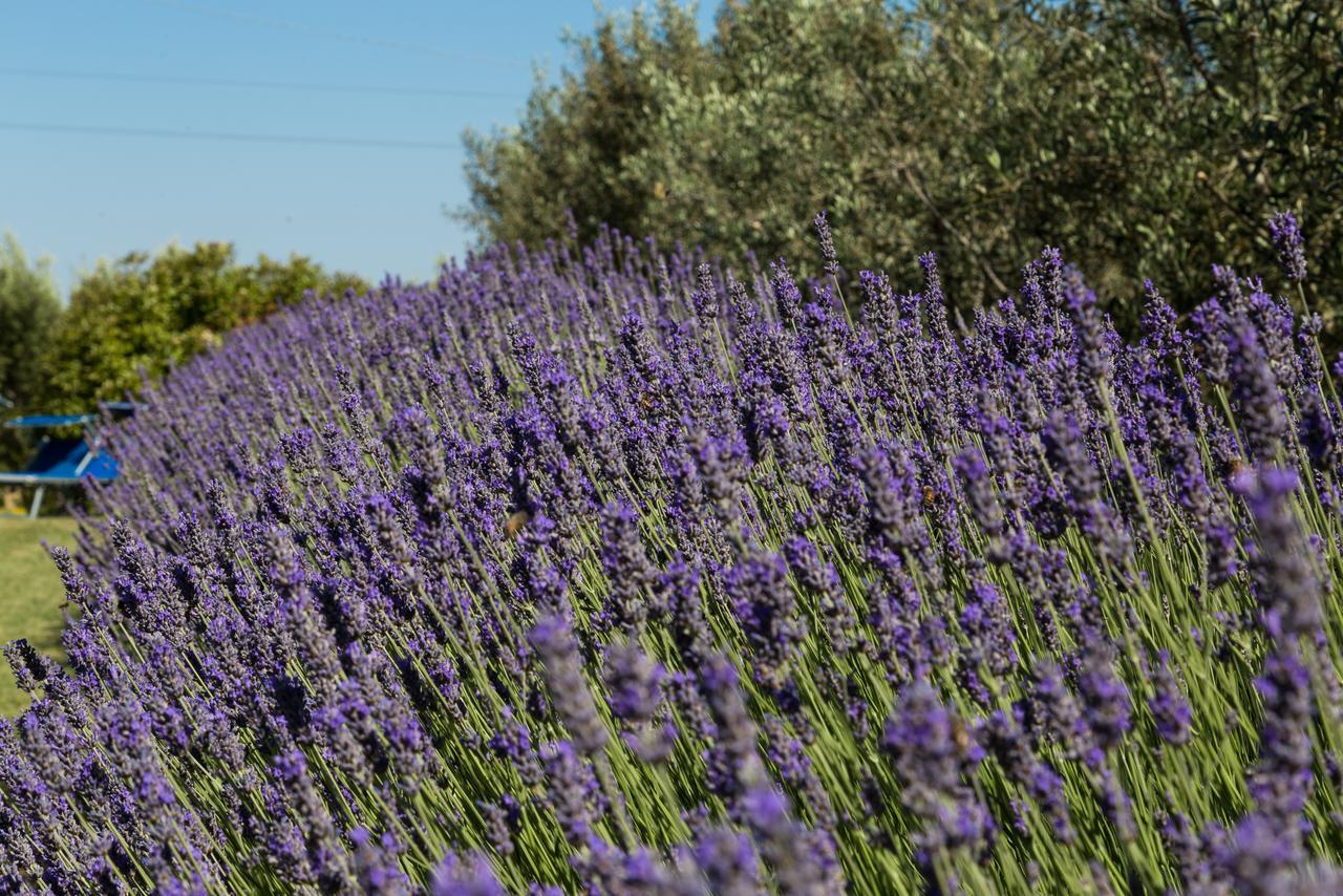 Montepulciano Stazione Villa San Bartolomeo מראה חיצוני תמונה